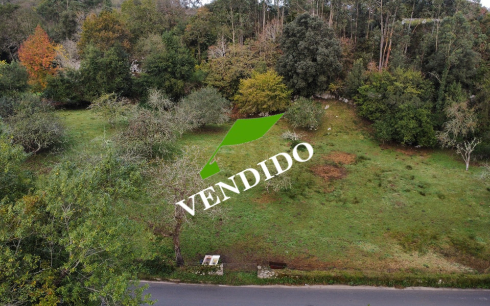 Vendido jpg