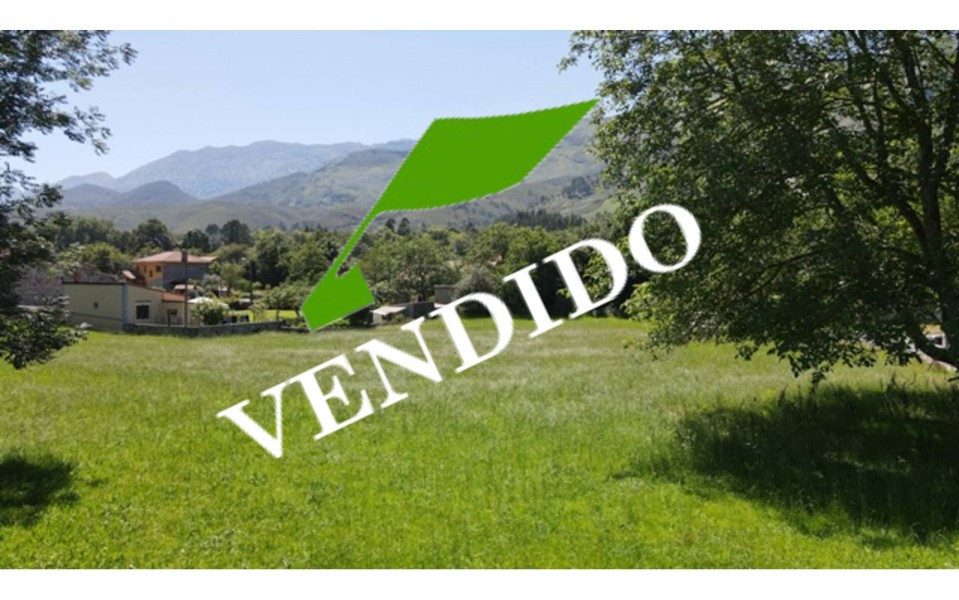 la galguera - vendido
