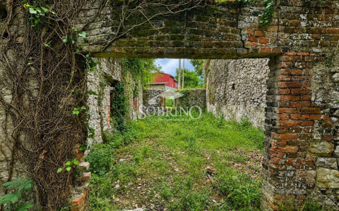 1899_65000121190_2a9643cb-6fbf-4573-8374-055f3ab01f16.jpg