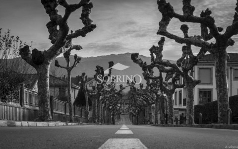 1899_65022669805_14_20260615145219007.jpg