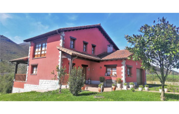 Ref. 200067