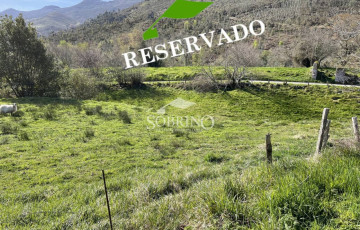 Ref. 300075