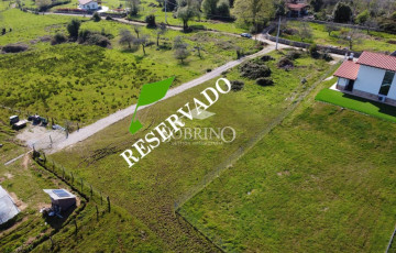 Ref. 300104