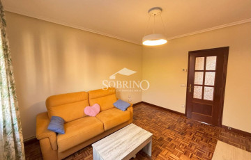 Ref. 100171