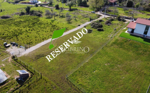 Ref. 300104